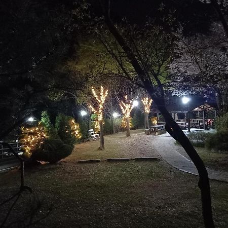 Chamjoeun Pension Chech'ŏn Dış mekan fotoğraf