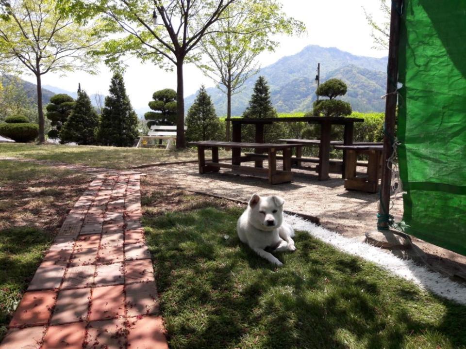 Chamjoeun Pension Chech'ŏn Dış mekan fotoğraf