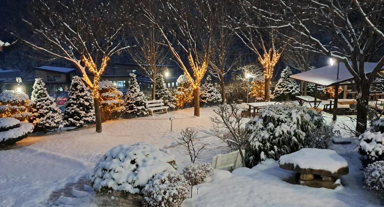 Chamjoeun Pension Chech'ŏn Dış mekan fotoğraf
