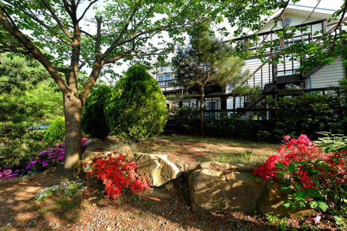 Chamjoeun Pension Chech'ŏn Dış mekan fotoğraf