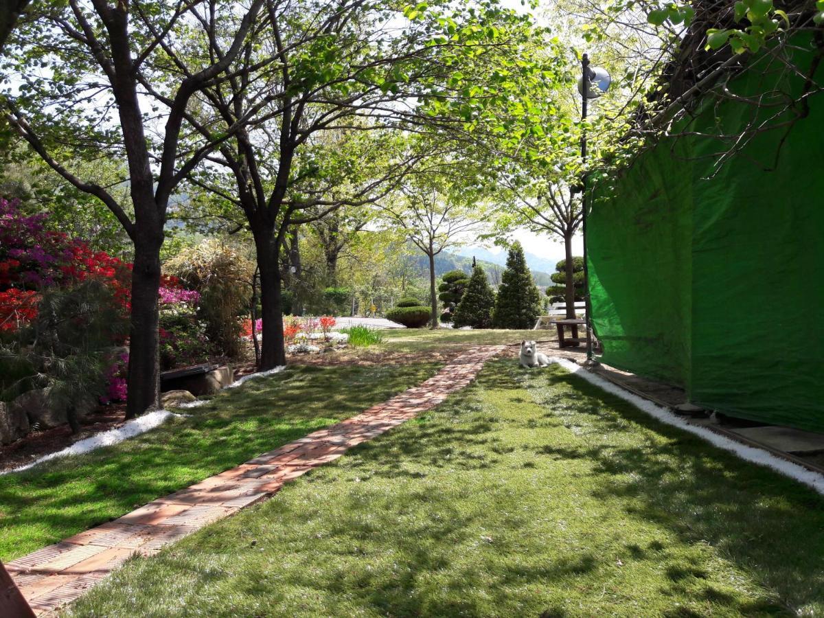 Chamjoeun Pension Chech'ŏn Dış mekan fotoğraf